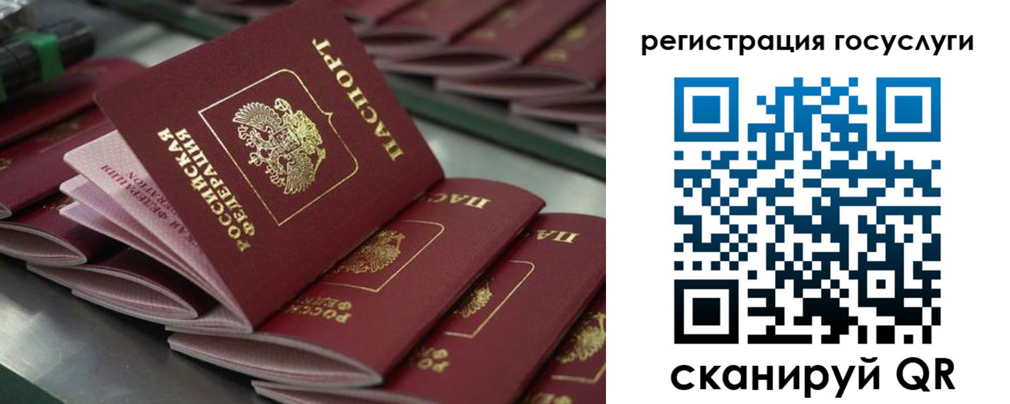 прописка гарантия в Череповце